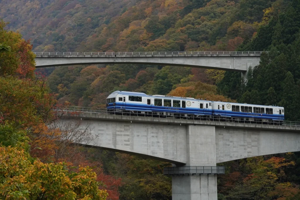 紅葉に染まる山間を走るお座トロ展望列車