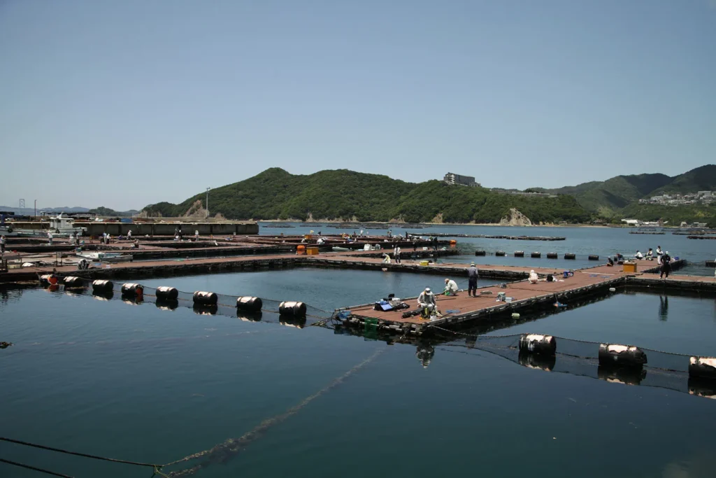 淡路島にあるフィッシングパークの釣り場