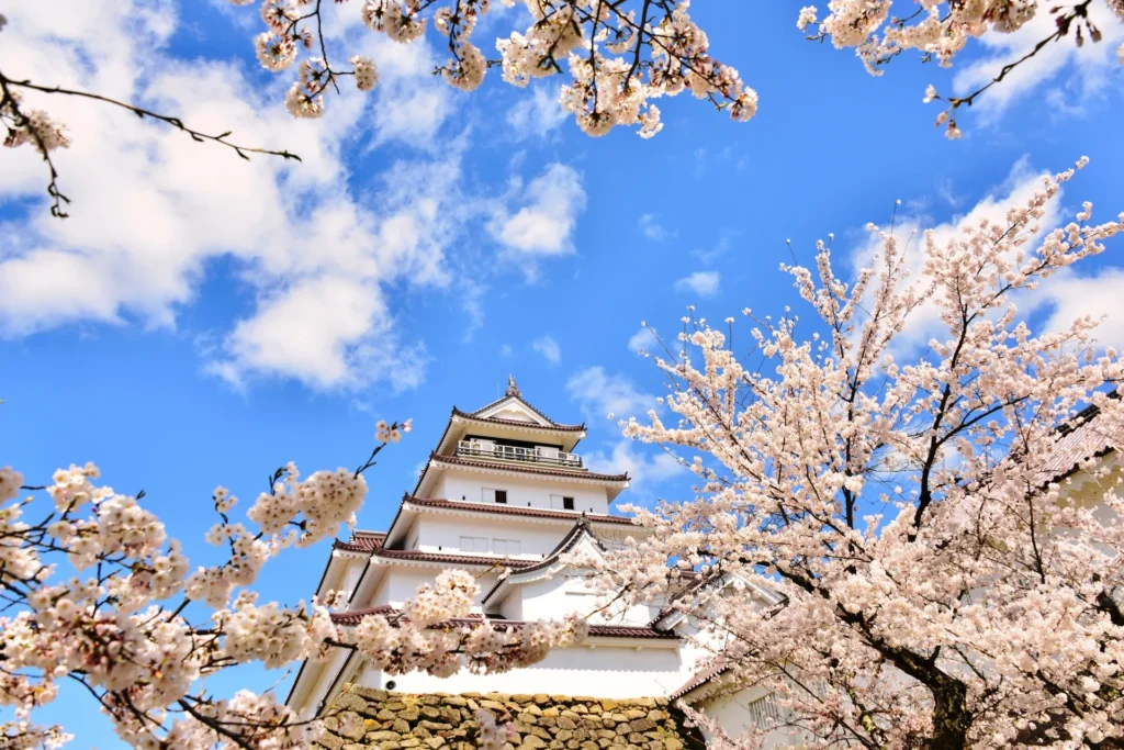 桜の咲いた鶴ヶ城
