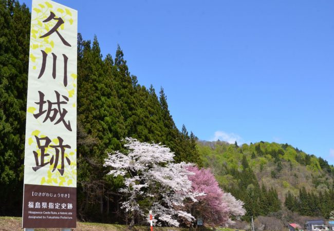 久川城跡に咲き誇る桜並木