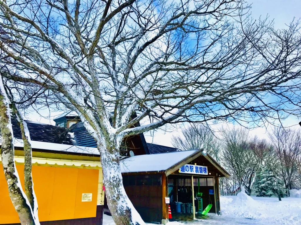 道の駅裏磐梯の雪景色
