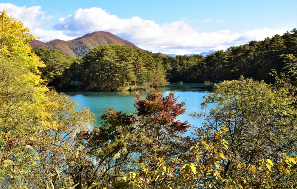 五色沼自然探勝路の秋景色