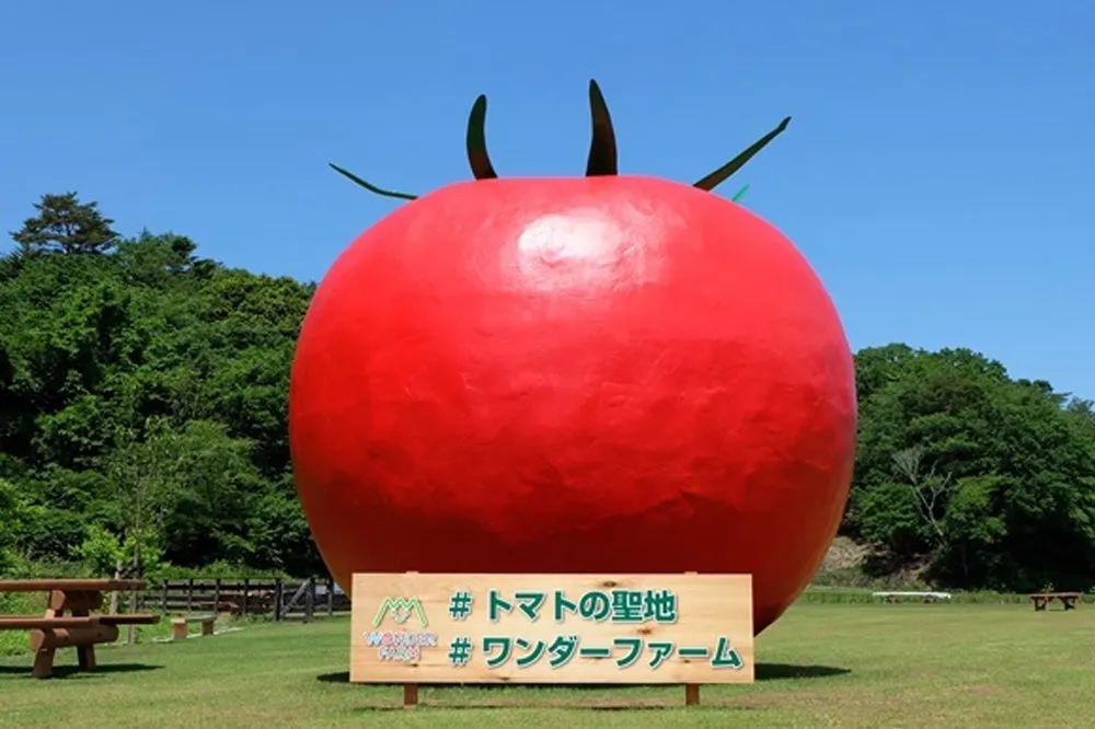 Big monument of tomato