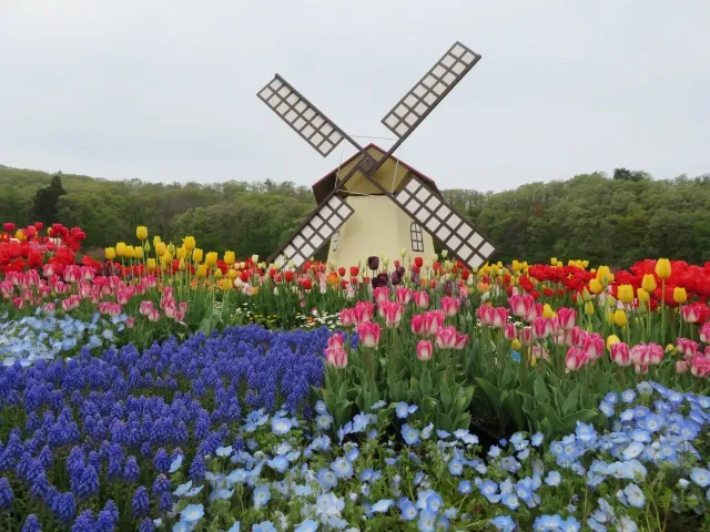 国営越後丘陵公園 長岡