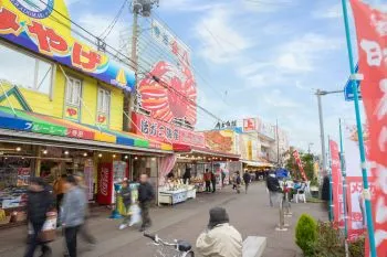 長岡市 観光スポット