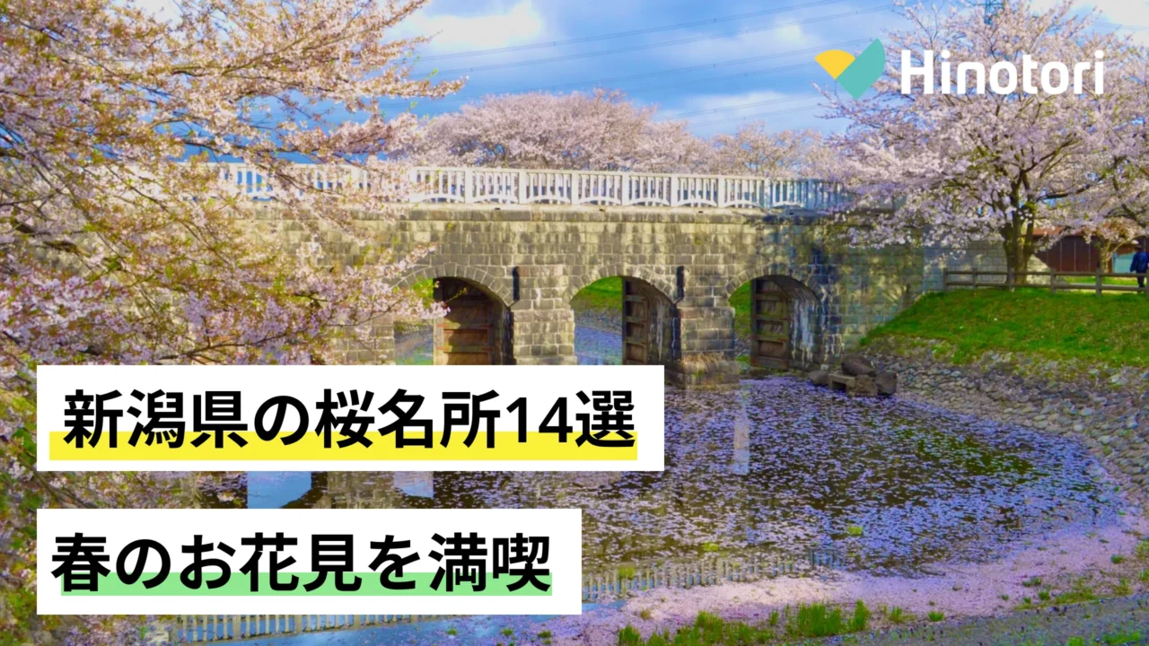 新潟県の桜名所「加治川堤・加治川治水記念公園」の桜