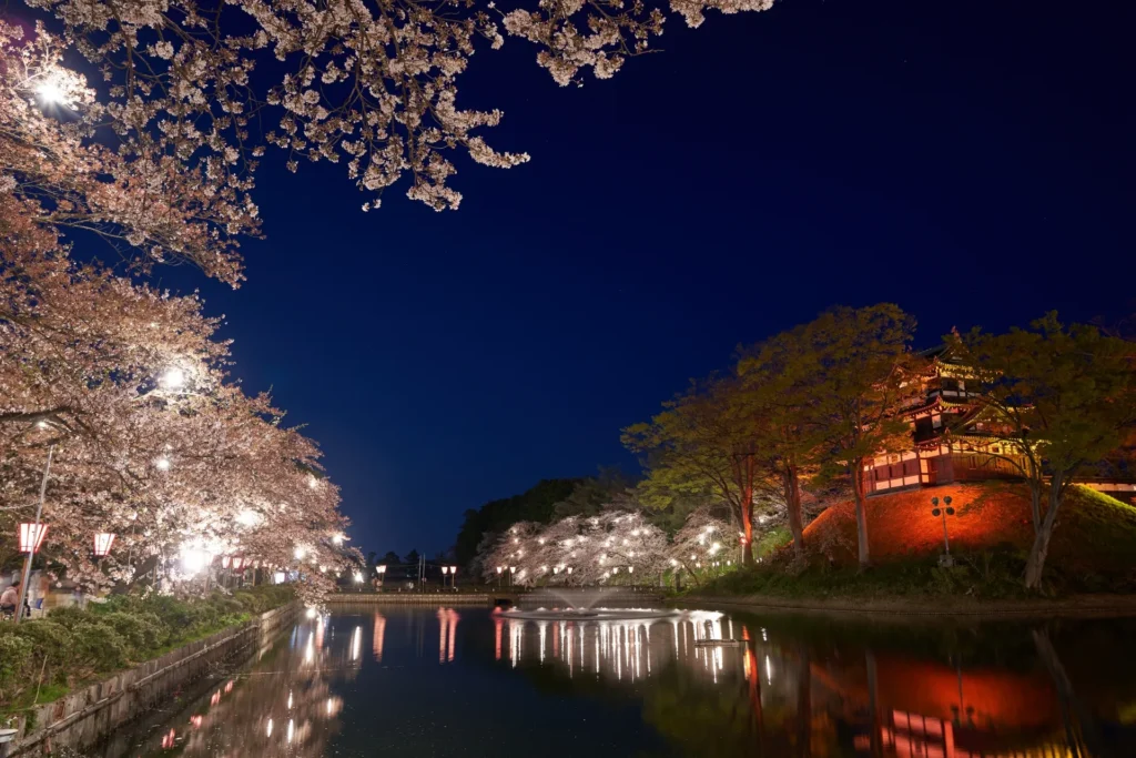 高田城址公園のライトアップされた夜桜