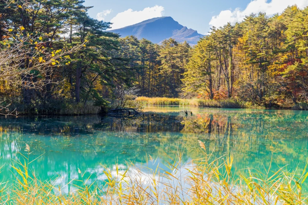 福島県「五色沼湖沼群」の景色
