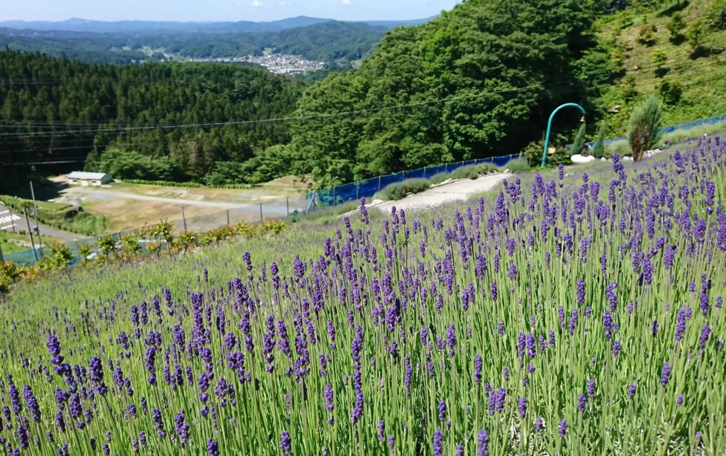 福島県 あぶくま洞
