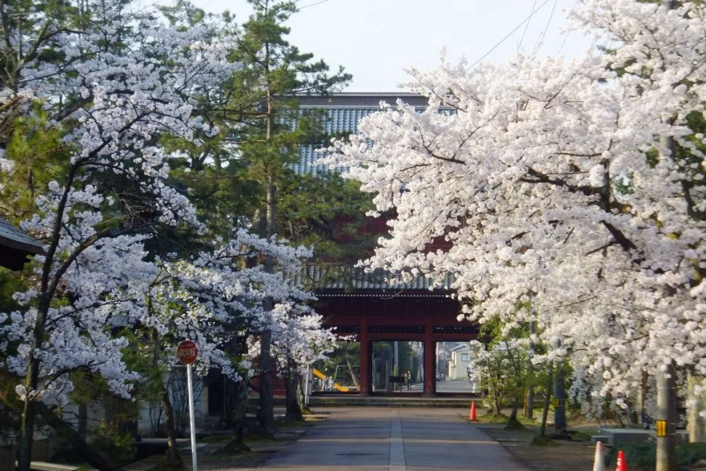 本成寺の正門