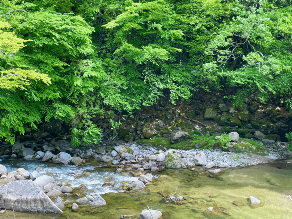 夏井川渓谷
