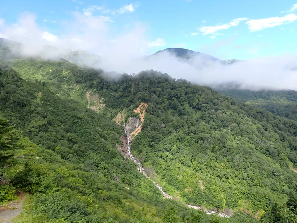 蓮華自然歩道