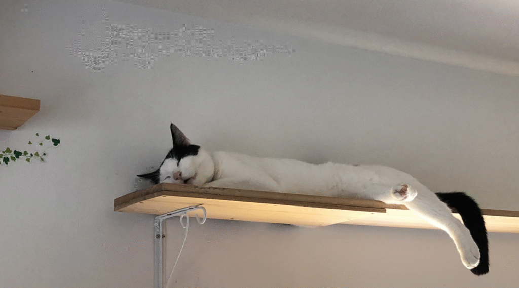 らっくら家