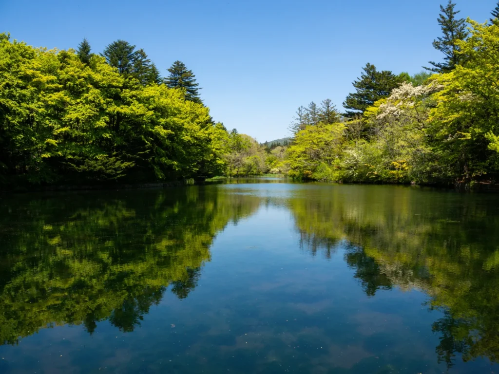 軽井沢の湖