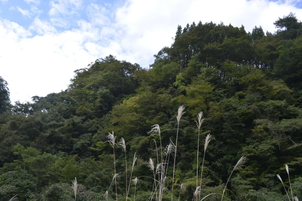 五ヶ瀬渓谷