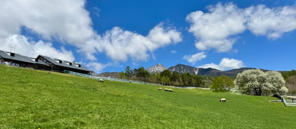 清里高原
