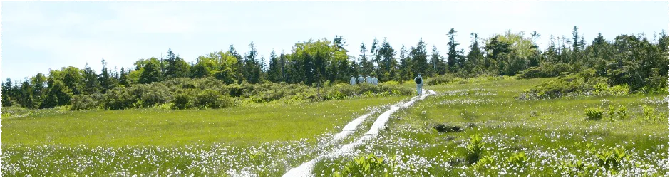 高清水自然公園