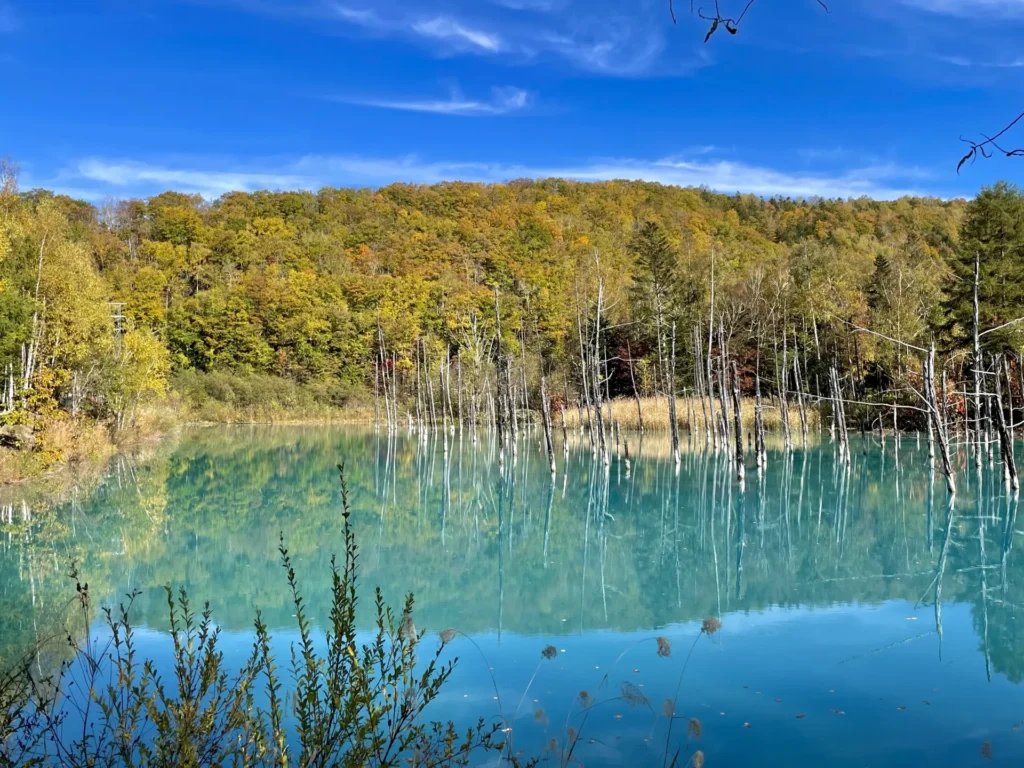 美瑛町の湖