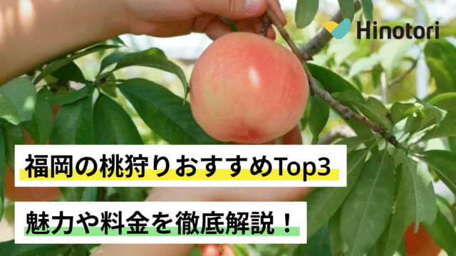 福岡　桃狩り