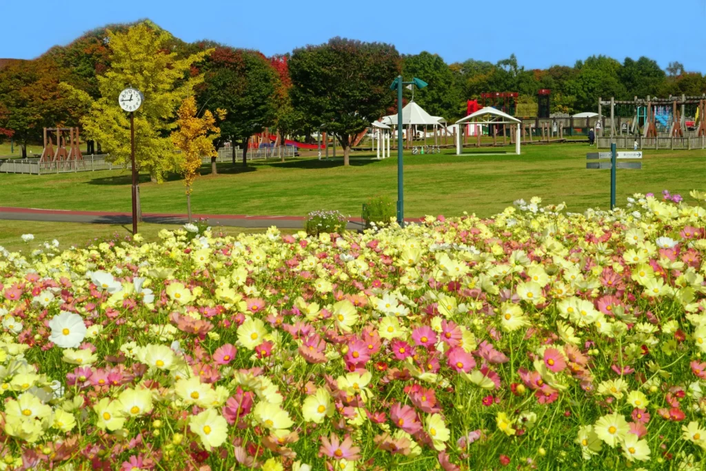 「国営越後丘陵公園」の遊び場