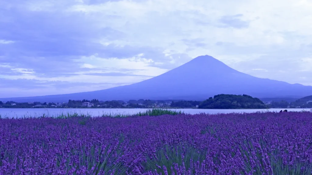 大石公園、富士山