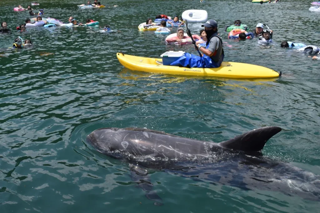 くじら浜海水浴場