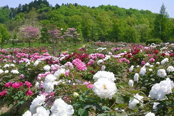 新潟県立植物園