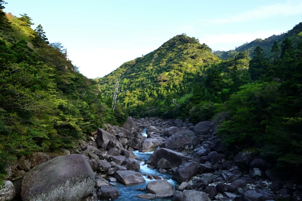 屋久島
