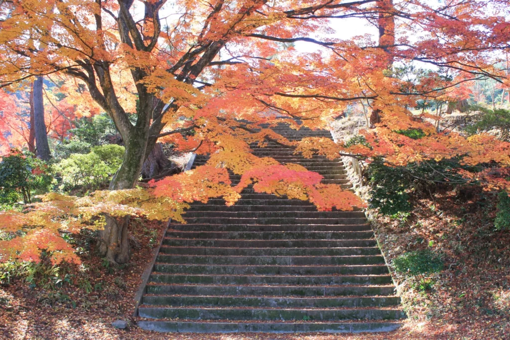 オレンジ色に紅葉した木の葉が階段を覆っている様子