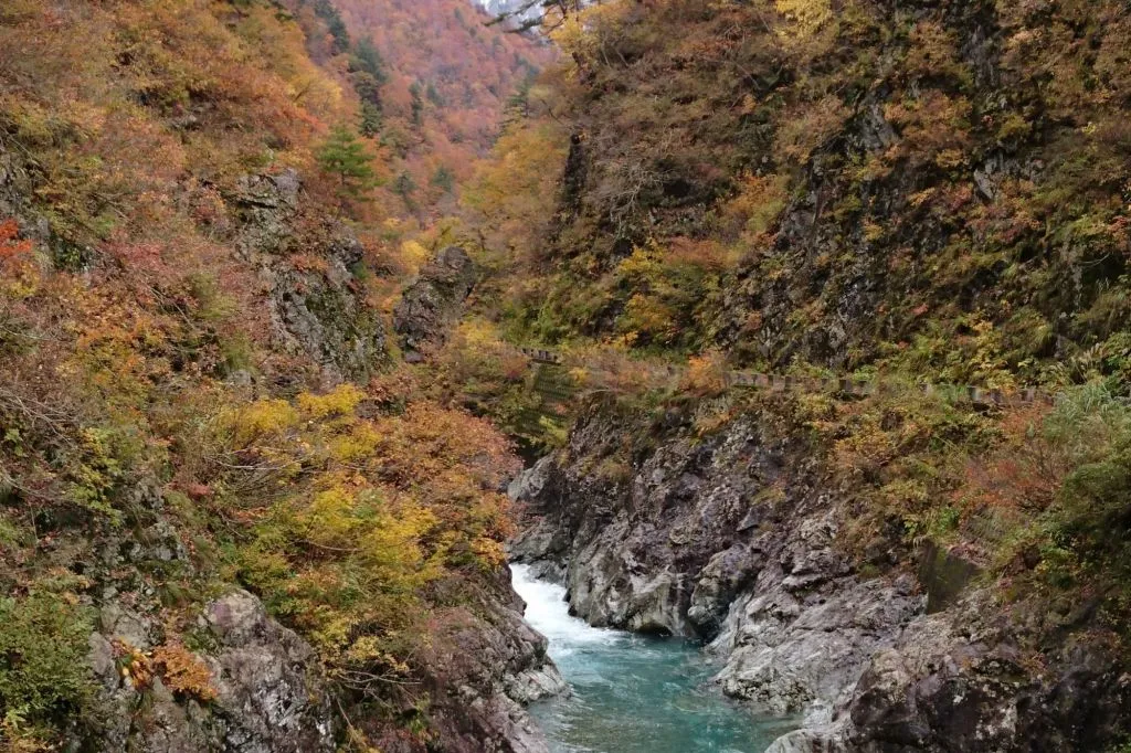渓谷の急斜面が紅葉で覆われ、中央を清流が流れる