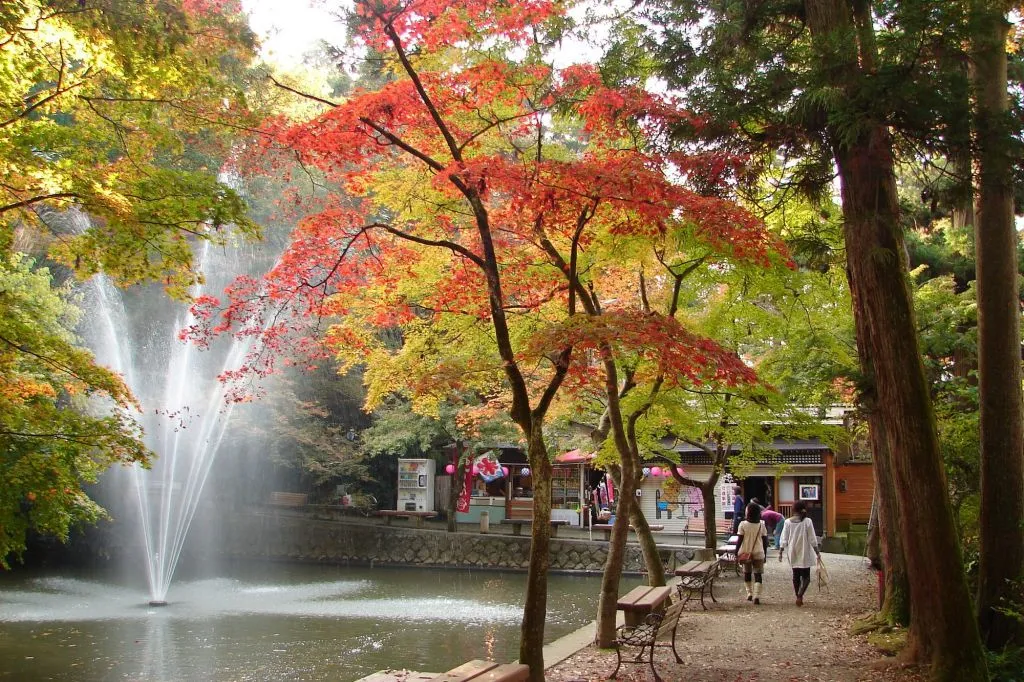 噴水が出る池に面して散策路があり、ベンチや紅葉が配されている。