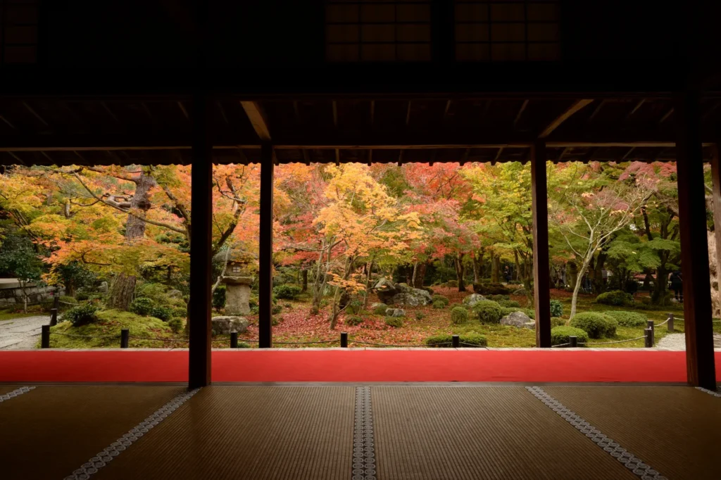 寺院の中から見える庭の紅葉