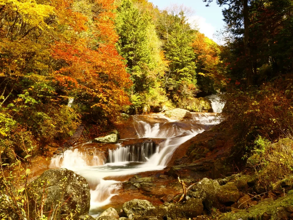 オレンジ色の紅葉とその間を流れる渓谷の清流