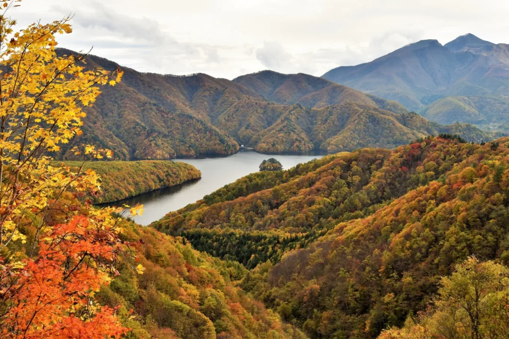 湖面と紅葉で覆われた山々