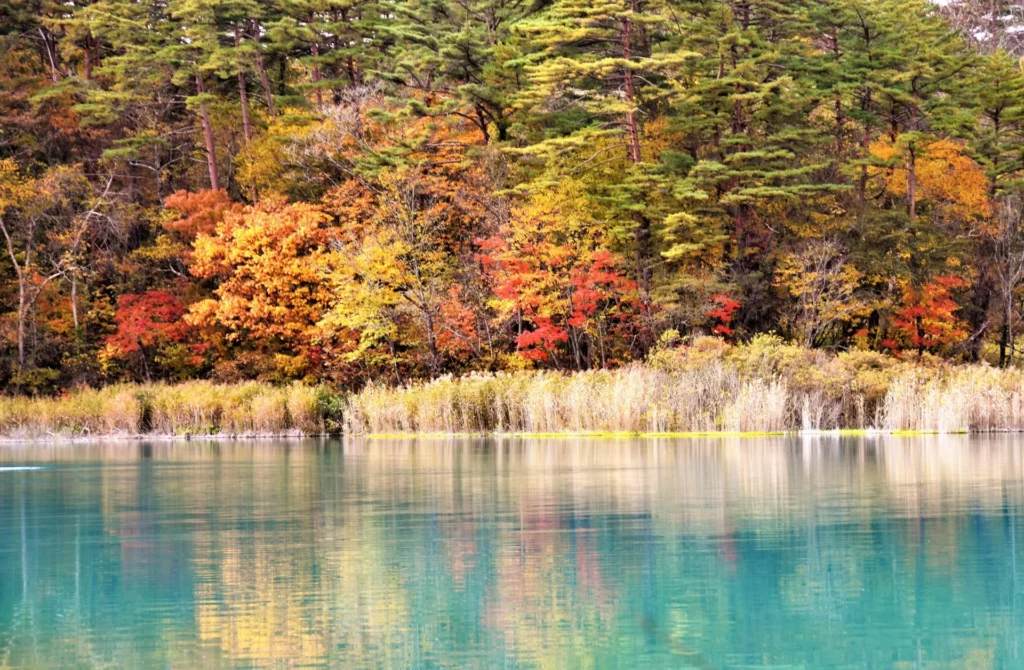 エメラルドグリーンの五色沼と黄色や赤の紅葉