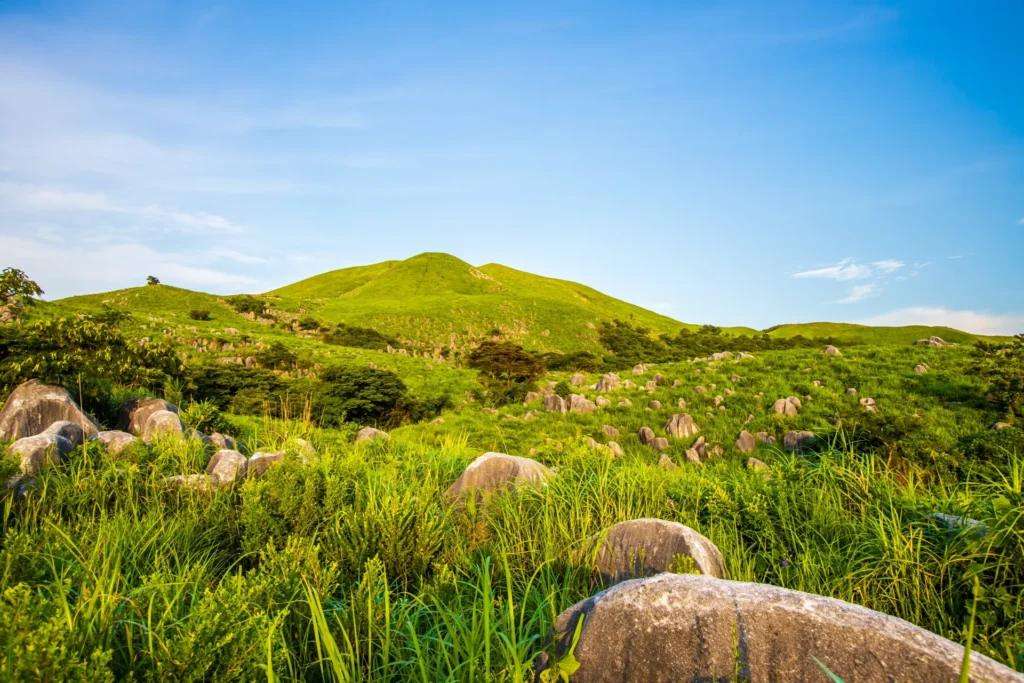 夕暮れ時の平尾台