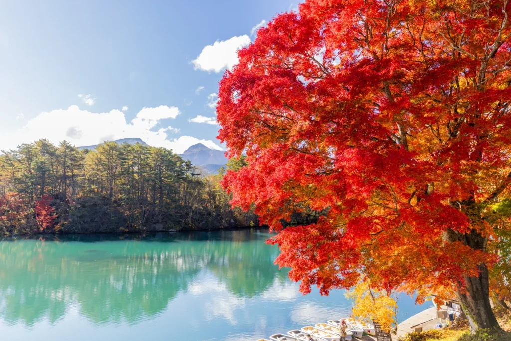 福島 五色沼
青い湖沼と紅葉