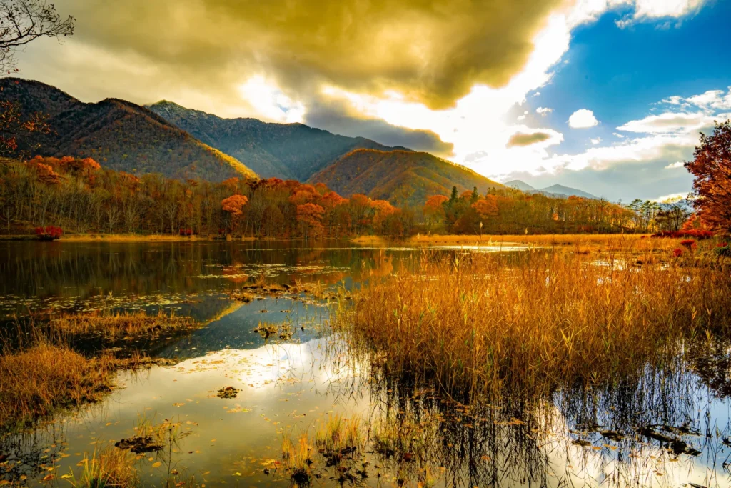 湖沼の周辺に紅葉と山々がある様子