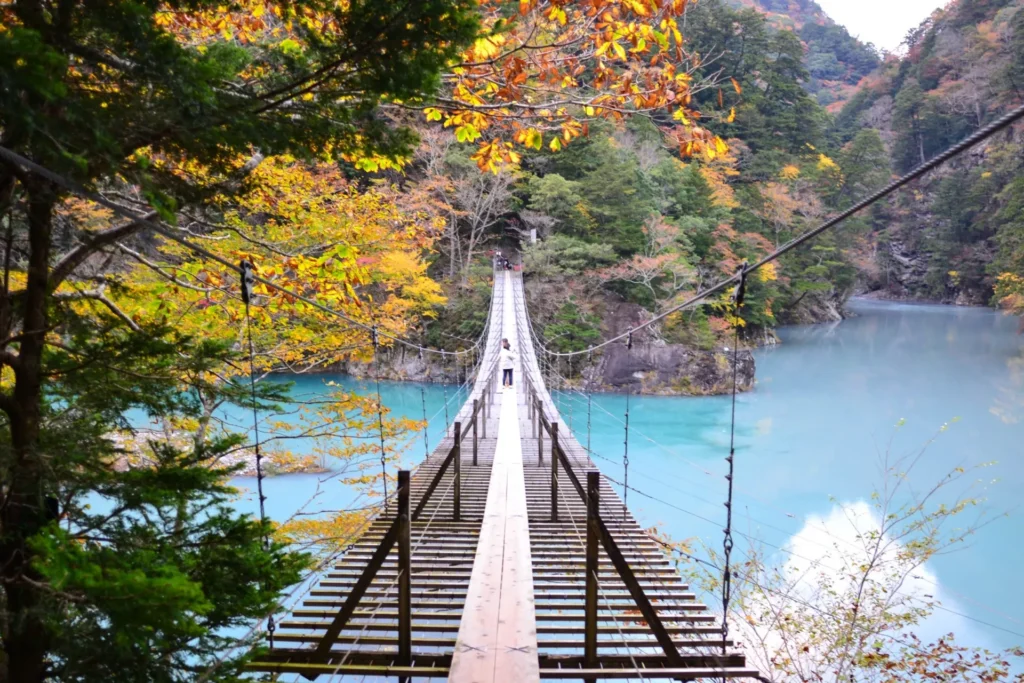 紅葉と吊り橋と足元の青色の水面