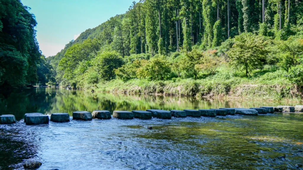 埼玉県の嵐山渓谷の清流