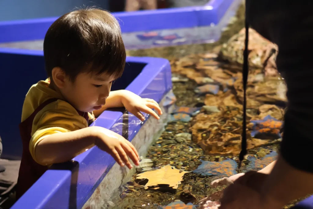 水族館で子供が水層のヒトデをのぞいている