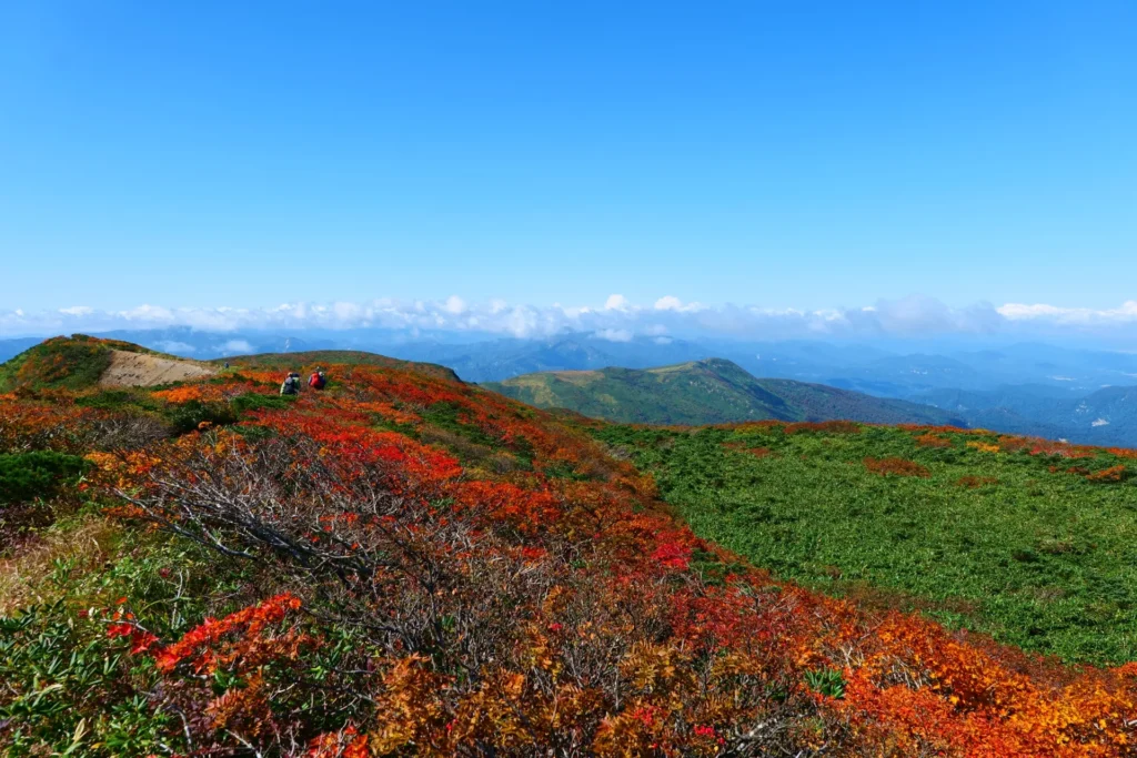 栗駒山