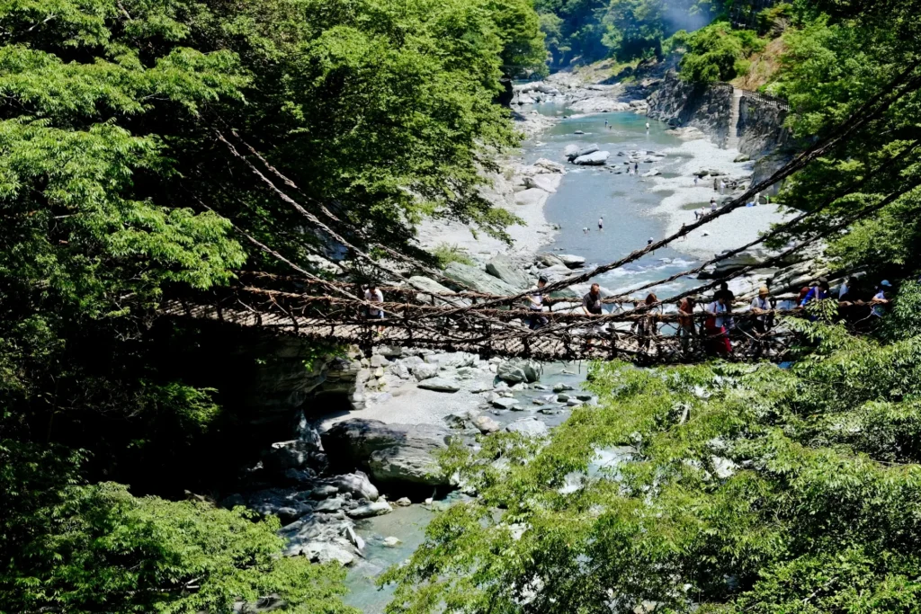 青々とした木々の中央を流れる川と吊り橋