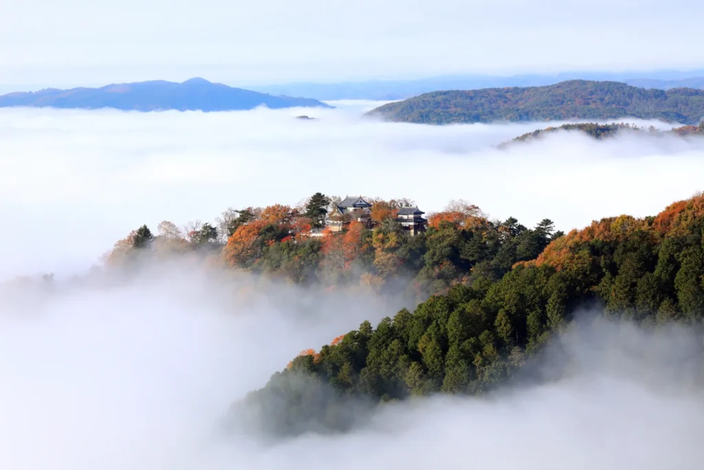 雲海に浮かぶ幻想的な備中松山城