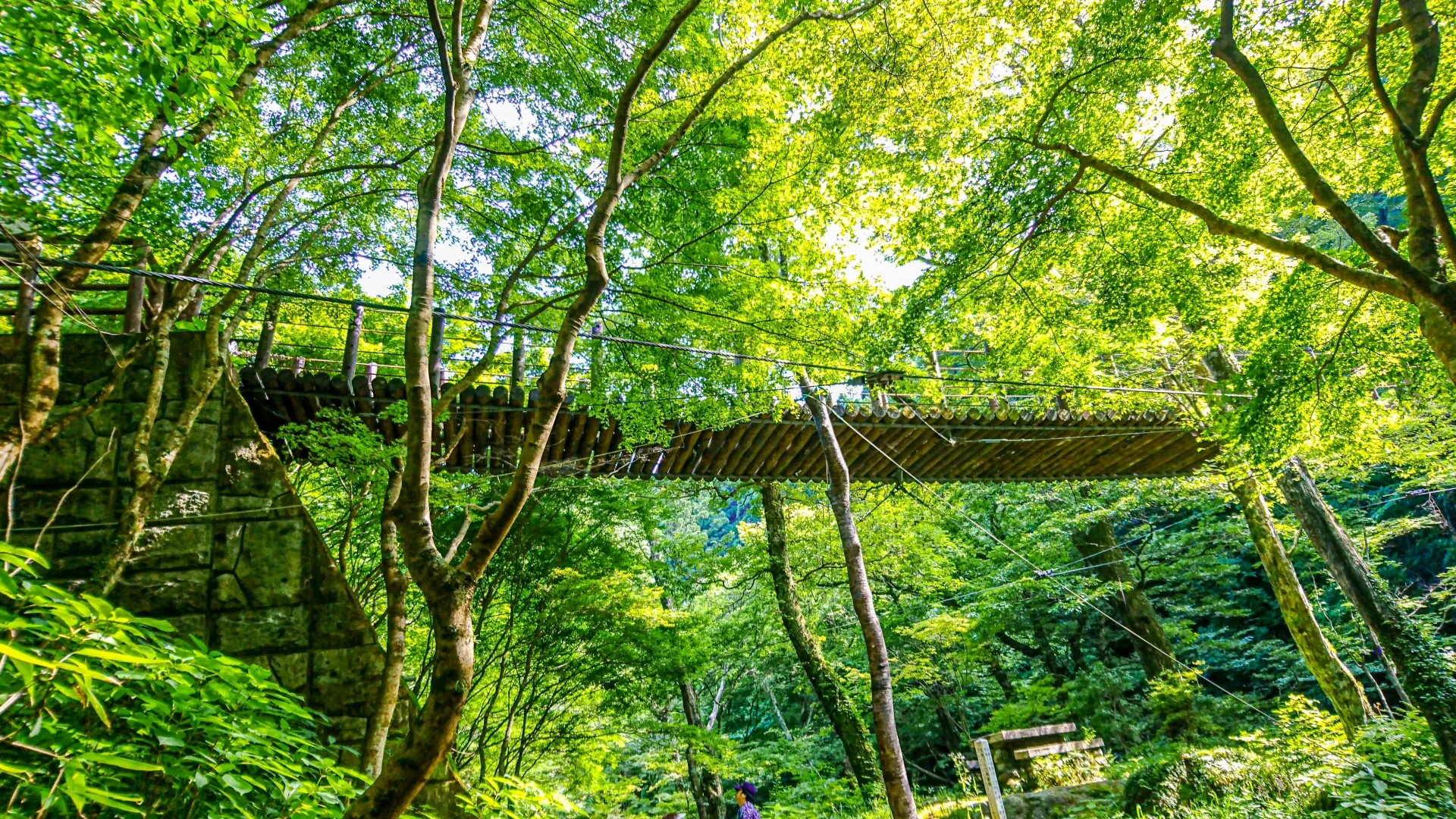 茨城県の花貫渓谷のつり橋と周りの自然