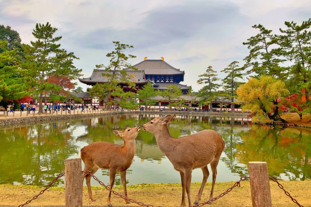 寺院とシカと紅葉