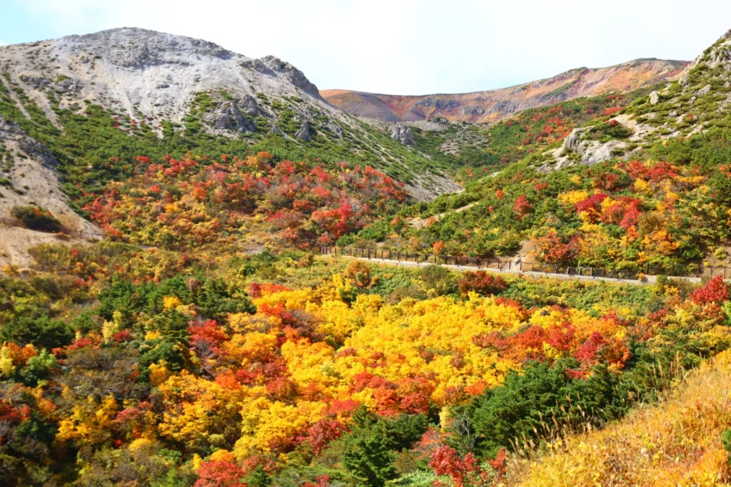磐梯山を覆う黄色や赤の紅葉と道路