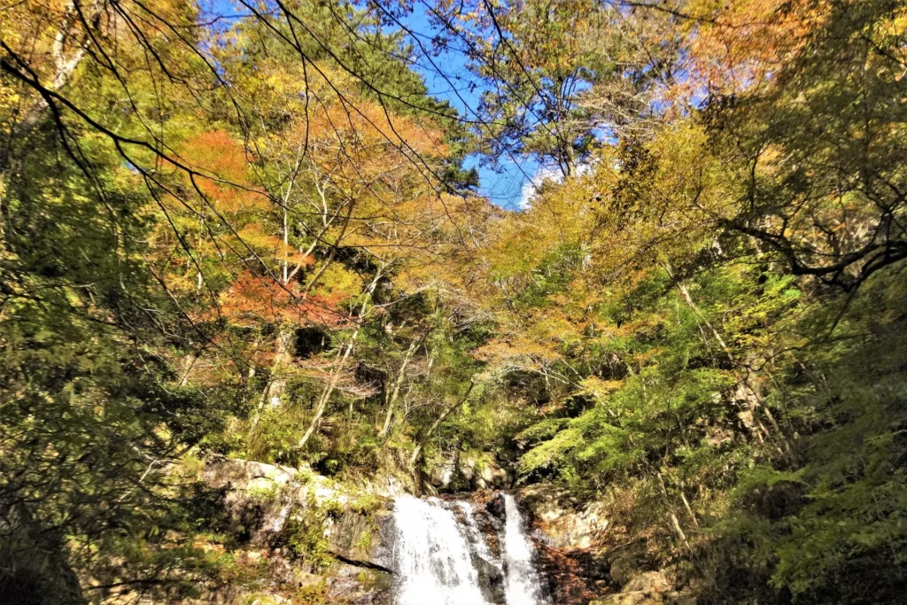 渓谷を覆う紅葉と中央を流れ落ちる滝水