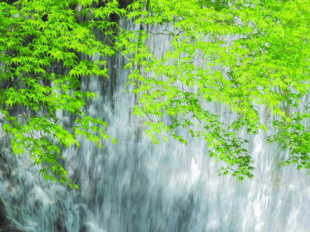 兵庫県の布引の滝の滝しぶきと新緑の木々