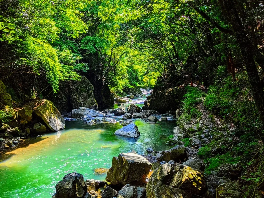 大阪府の摂津峡の川の流れ